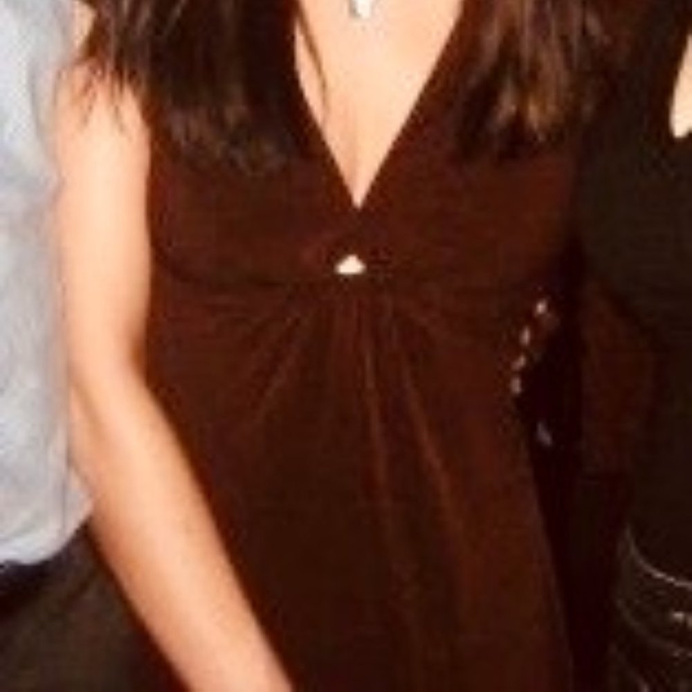 LAUNDRY by Shelli Segal Brown Dress